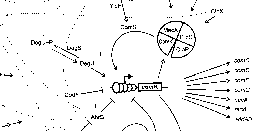 AI4Science Blog